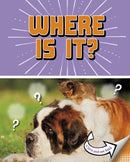 Where Is It? : A Turn-and-See Book-9781398215764