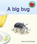 A big bug-9781398216396