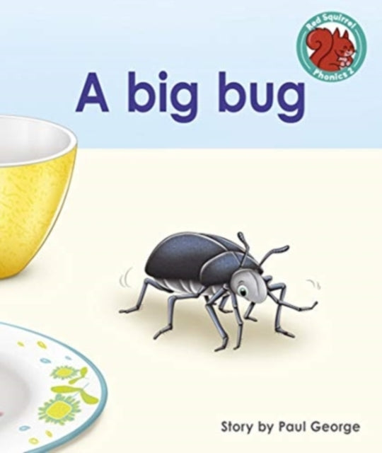 A big bug-9781398216396