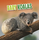 Baby Koalas-9781398223967
