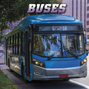 Buses-9781398224643