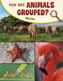 How Are Animals Grouped?-9781398225251