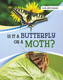 Is It a Butterfly or a Moth?-9781398225565