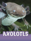Axolotls-9781398243927