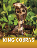 King Cobras-9781398244009