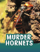 Murder Hornets-9781398244047