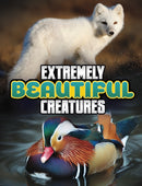 Extremely Beautiful Creatures-9781398244795