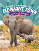 Elephant Cows : Heads of the Herd-9781398245884