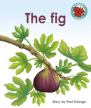 The Fig-9781398246508