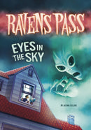 Eyes in the Sky-9781398248946
