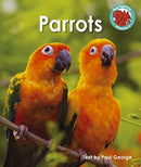 Parrots-9781398249431