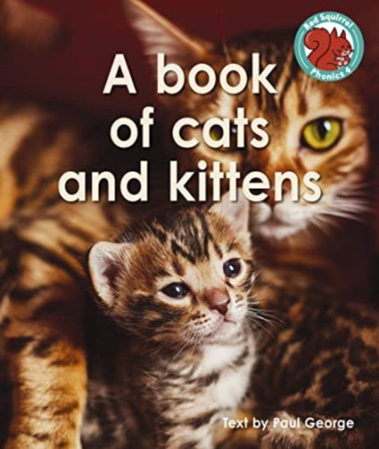 A book of cats and kittens-9781398249462