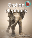 Orphan elephants-9781398252318