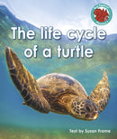 The life cycle of a turtle-9781398252561