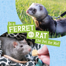 Is a Ferret or a Rat the Pet for Me?-9781398258044