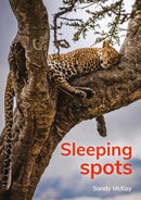 Sleeping spots-9781398260177