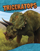 Triceratops-9781398260344