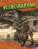 Velociraptor-9781398260368