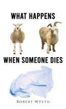 What Happens When Someone Dies-9781398466326
