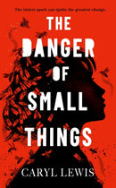 The Danger of Small Things : The YA debut from an award-winning and bestselling Welsh storyteller-9781398549272
