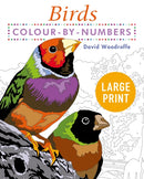 Large Print Colour by Numbers Birds : Easy-to-Read-9781398808904