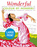 Wonderful Colour by Numbers Large Print : Easy to Read-9781398808911
