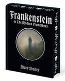 Frankenstein : Or The Modern Prometheus-9781398845879