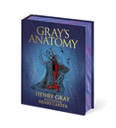 Gray's Anatomy-9781398849198