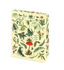 Fern Journal