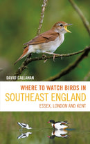Where to Watch Birds in Southeast England : Essex, London and Kent-9781399403603