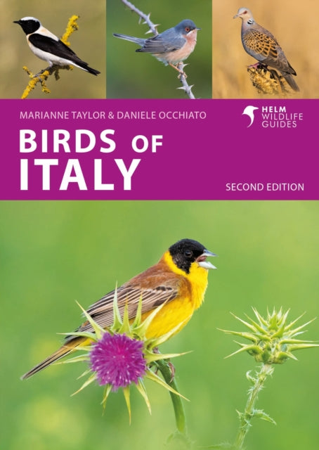 Birds of Italy-9781399410649