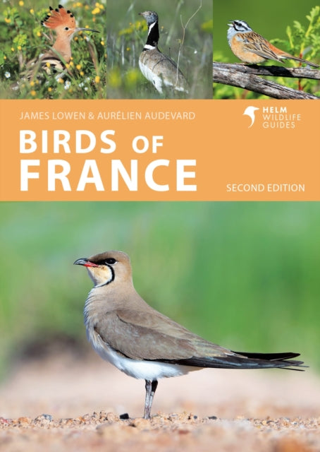Birds of France-9781399411387