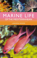 Marine Life of the Mediterranean-9781399411707