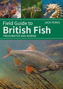 Field Guide to British Fish : Freshwater and Marine-9781399412254