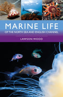 Marine Life of the North Sea and English Channel-9781399415521