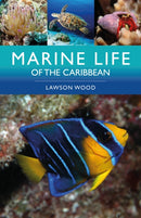 Marine Life of the Caribbean-9781399419352