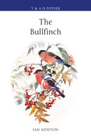 Bullfinch