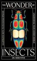 The Wonder of Insects: Uncovering their Hidden World