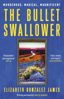 The Bullet Swallower-9781399709101