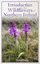Introduction to the Wildflowers of Northern Ireland-9781399928977