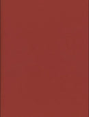 Research Files n.1 : The Scar as Archive-9781399994927
