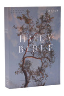NRSV Catholic Edition Bible, Eucalyptus Paperback (Global Cover Series) : Holy Bible-9781400337187
