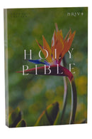 NRSV Catholic Edition Bible, Bird of Paradise Paperback (Global Cover Series) : Holy Bible-9781400337217