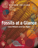 Fossils at a Glance 2e