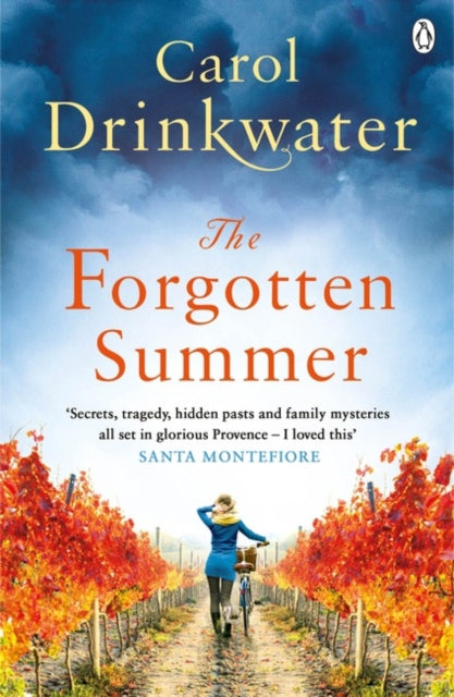 The Forgotten Summer-9781405924146