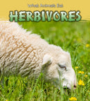 Herbivores-9781406289152