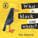 What Is Black and White?-9781406325126