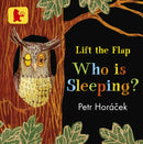 Who Is Sleeping?-9781406377316