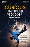 Curious Incident of the Dog in the Night-Time