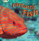 Bug Club Phonics - Phase 4 Unit 12: Fantastic Fish-9781408260708